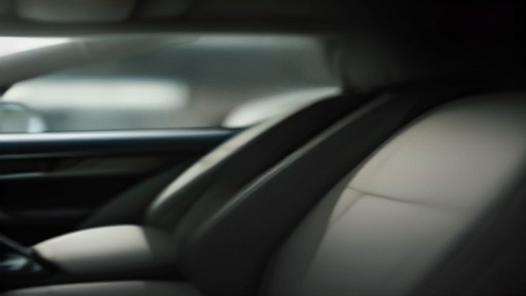 Car interior cleaning and detailing